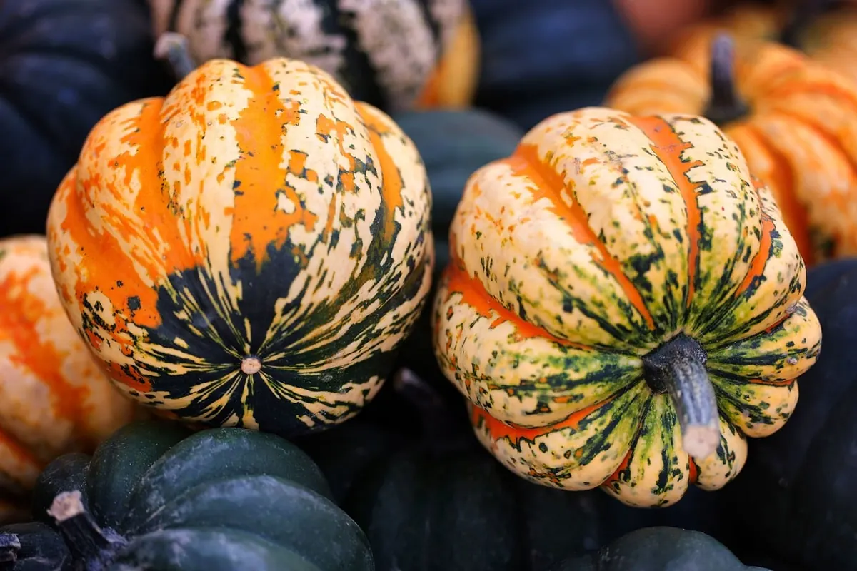 What’s in Season in Cumbria: A Month-by-Month Guide for Local Food Lovers